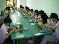 PCB-Insertion2-200pix.jpg (9924 bytes)